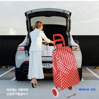 와이드 땡땡이 쇼핑 캐리어 장바구니