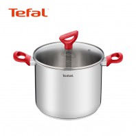 테팔 에디션 레드 인덕션 곰솥냄비 22cm