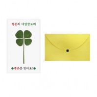 행운의 네잎클로버 생화 투명 코팅 인쇄 맞춤카드+봉투