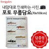 내맘대로 인쇄하는 사진, 포토 무릎담요 70x100cm