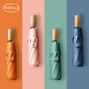 파스텔라 PS5 3단 수동 암막 양우산(UPF50+)